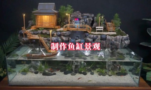 2个月宝宝眼睛还不会跟着东西转动-婴儿2个多月眼睛不追物网—知名的两个月的宝宝眼神还很呆怎么回事网站,分享2个月宝宝眼睛还不会跟着东西转动知识